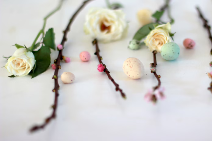 ostara
