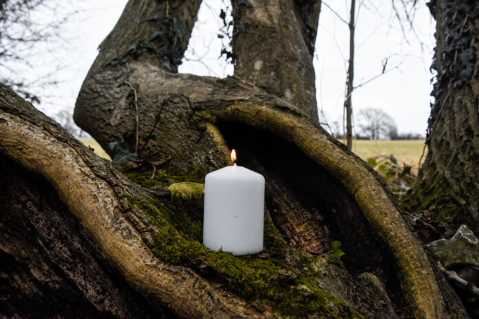 _DSC0019 outdoor rituals