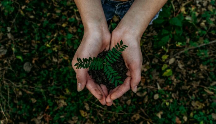noah-buscher-x8ZStukS2PM-unsplash sustainable witchcraft
