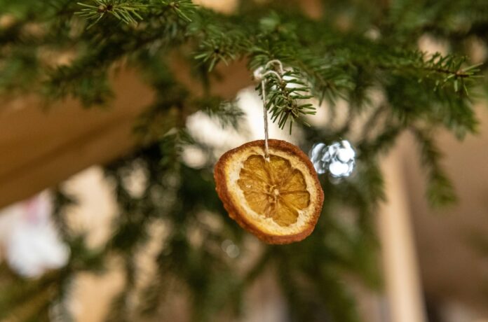 catalin-apostol-2YTx8wAOepk-unsplash celebrate yule